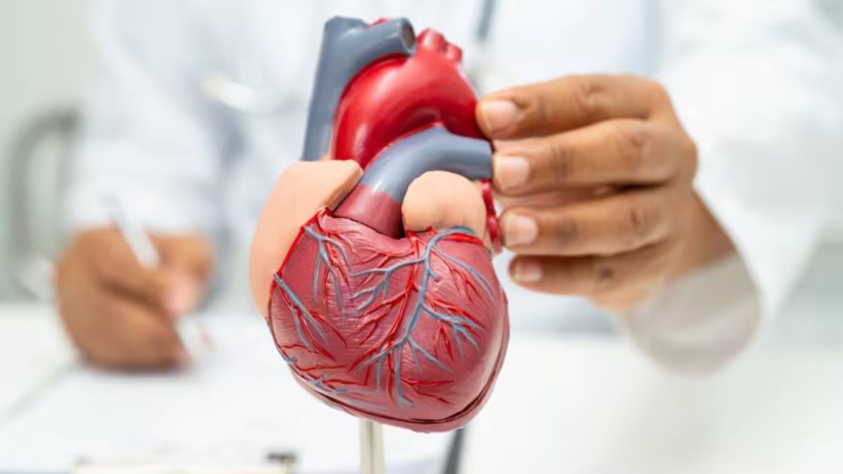 Ni caminar ni bicicleta fija: el ejercicio ideal para cuidar tu corazón y mejorar la circulación